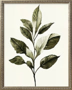 16x20 Green Botanicals Silver Bead Gallery Frame