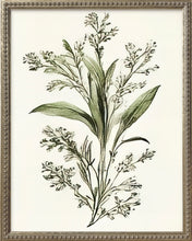 Load image into Gallery viewer, 16x20 Green Botanicals Silver Bead Gallery Frame
