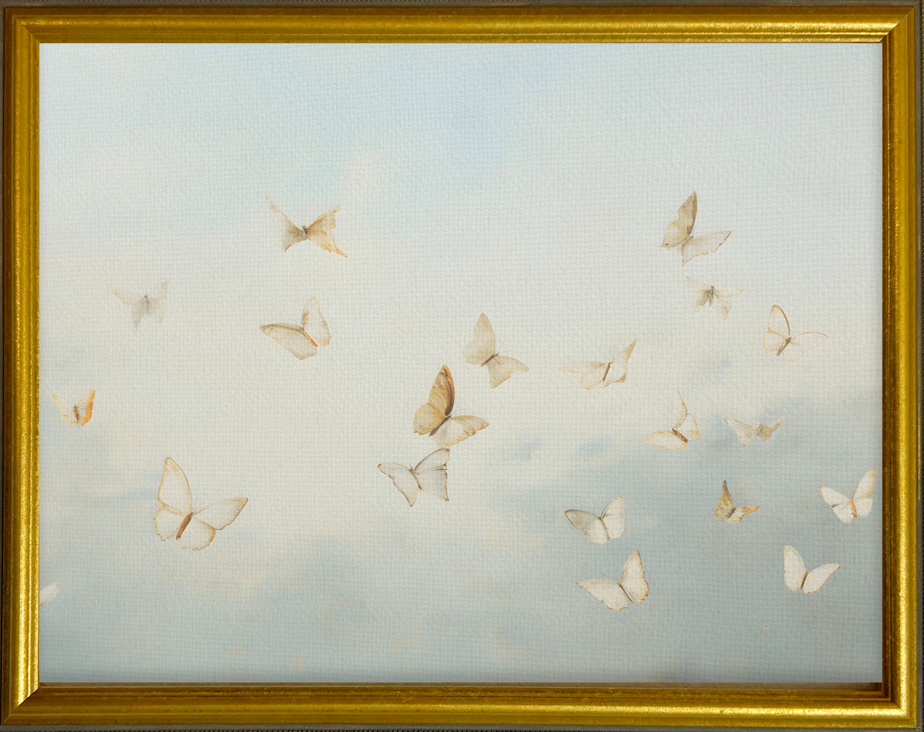 16x20 Gold Gallery Frame - Butterflies