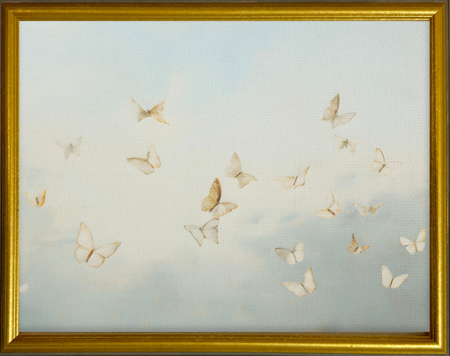 16x20 Gold Gallery Frame - Butterflies