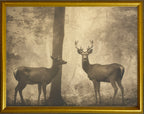 16x20 Gold Gallery Frame - Deer in Woods