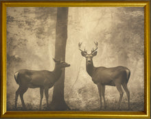 Load image into Gallery viewer, 16x20 Gold Gallery Frame - Deer in Woods
