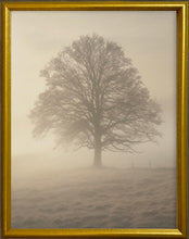 Load image into Gallery viewer, 16x20 Gold Gallery Frame - Foggy Tree
