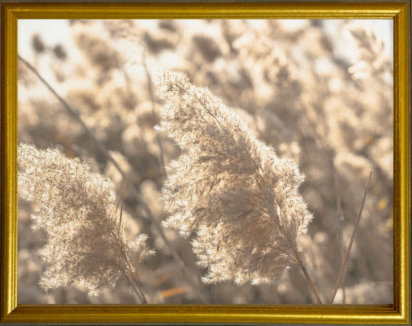 16x20 Gold Gallery Frame - Pampas Grass