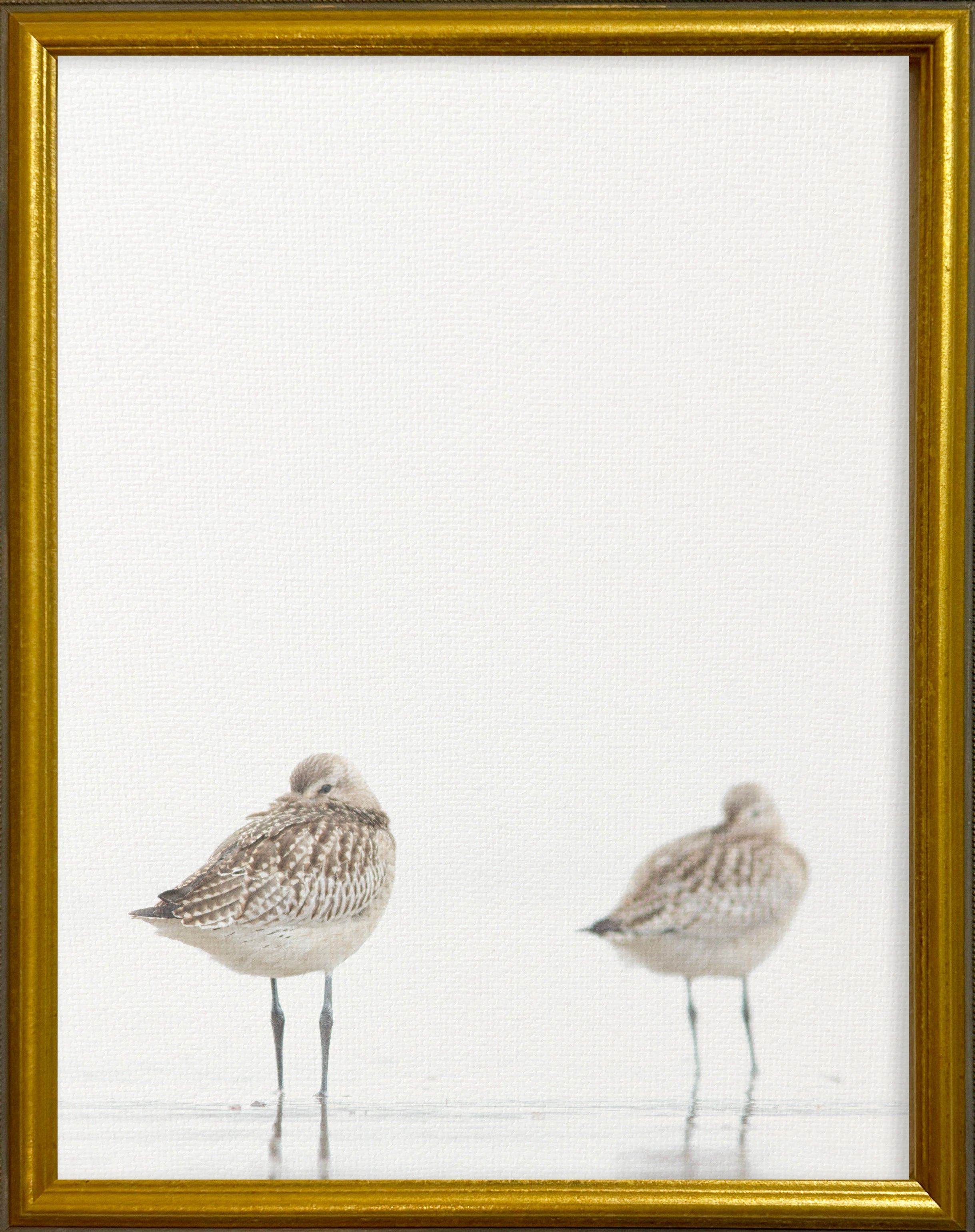16x20 Gold Gallery Frame - Sandpipers