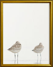 Load image into Gallery viewer, 16x20 Gold Gallery Frame - Sandpipers
