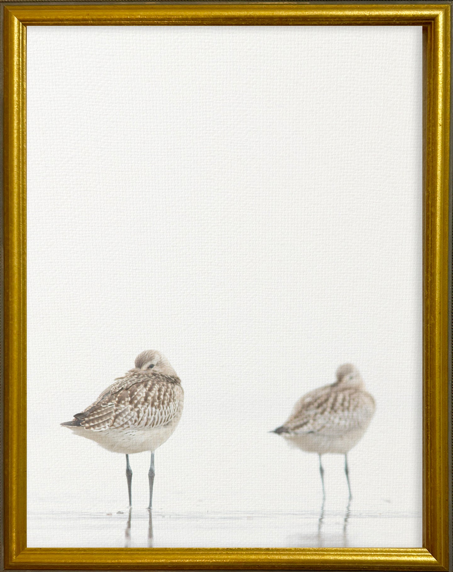 16x20 Gold Gallery Frame - Sandpipers