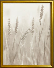 Load image into Gallery viewer, 16x20 Gold Gallery Frame - Tranquil Grass 1

