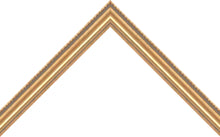 Load image into Gallery viewer, 16x20 Gold Gallery Frame - Walking on Water
