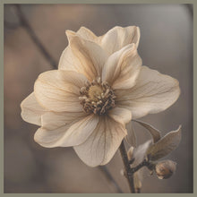 Load image into Gallery viewer, 24x24 Hairline - Flower 1
