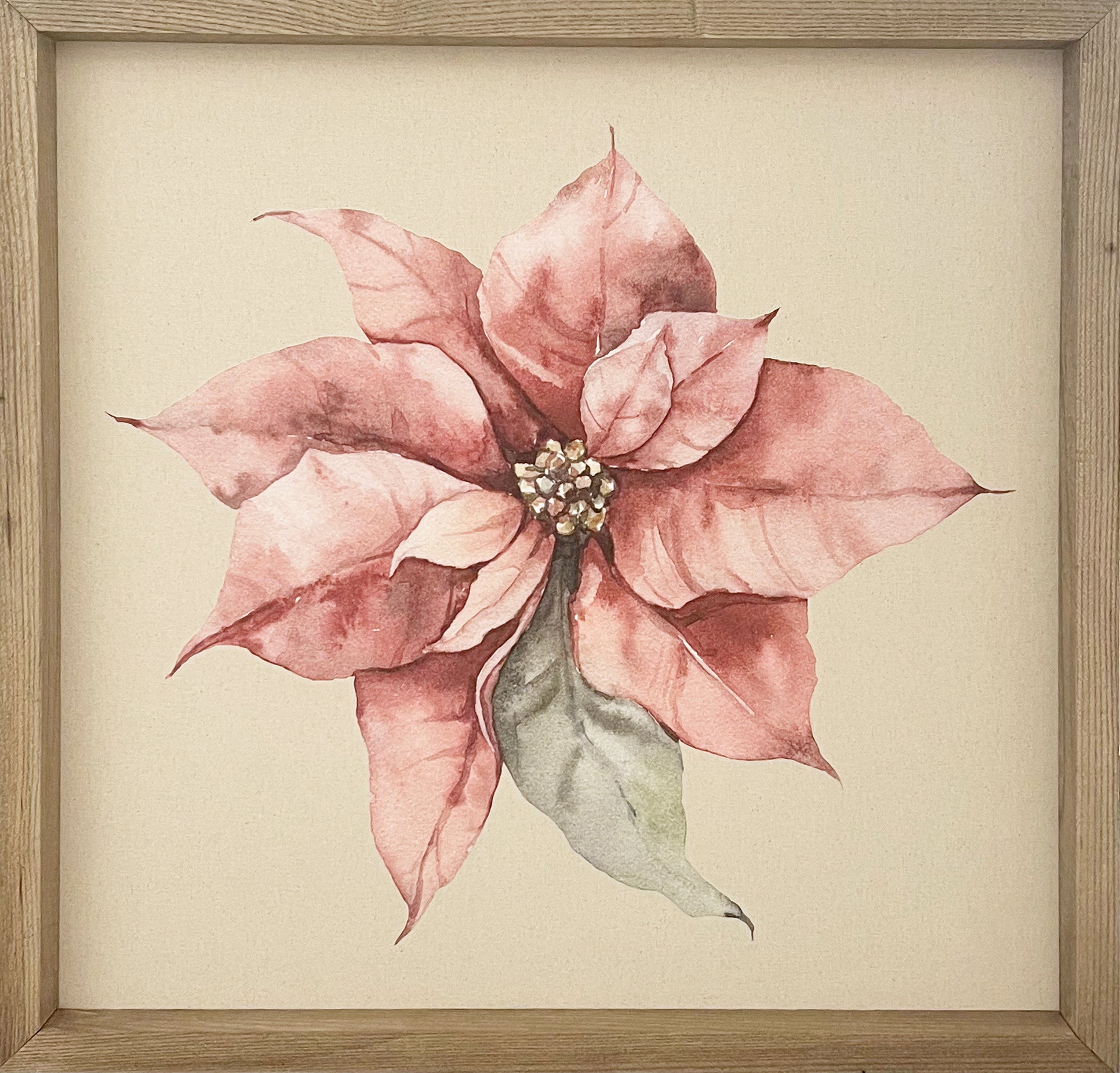 24x24 Textured Poinsetta