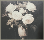 24x24 Hairline - Vintage Roses