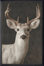 Dark Antler #6