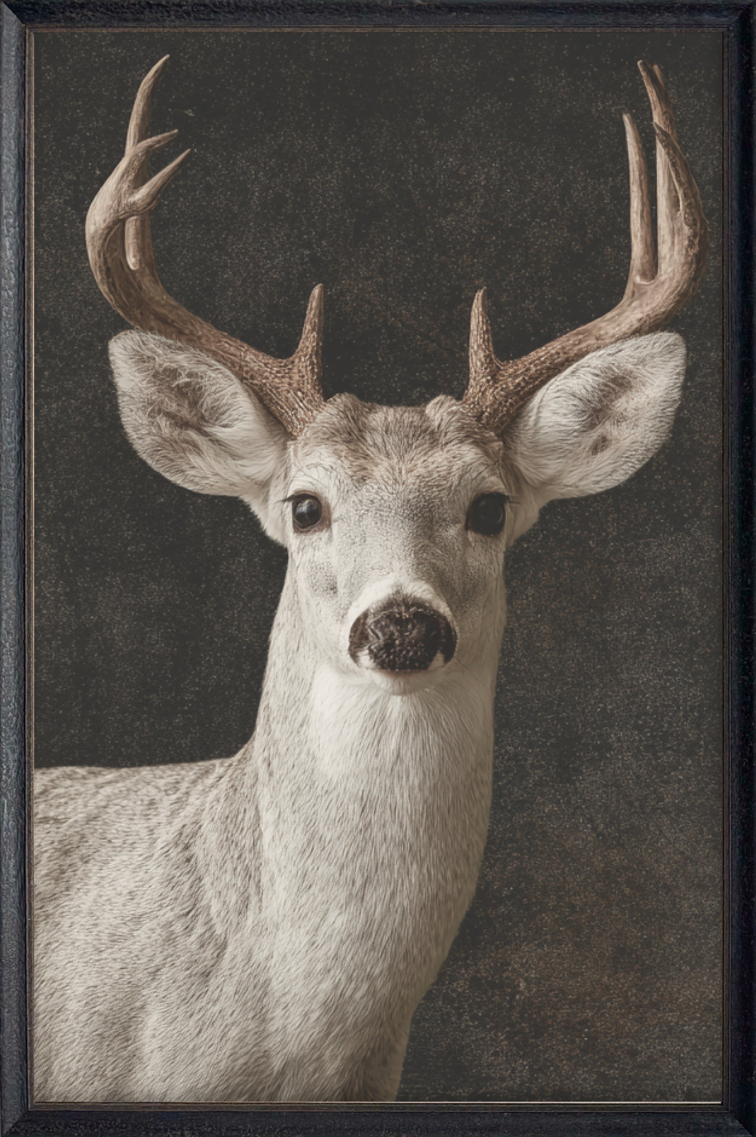 Dark Antler #6