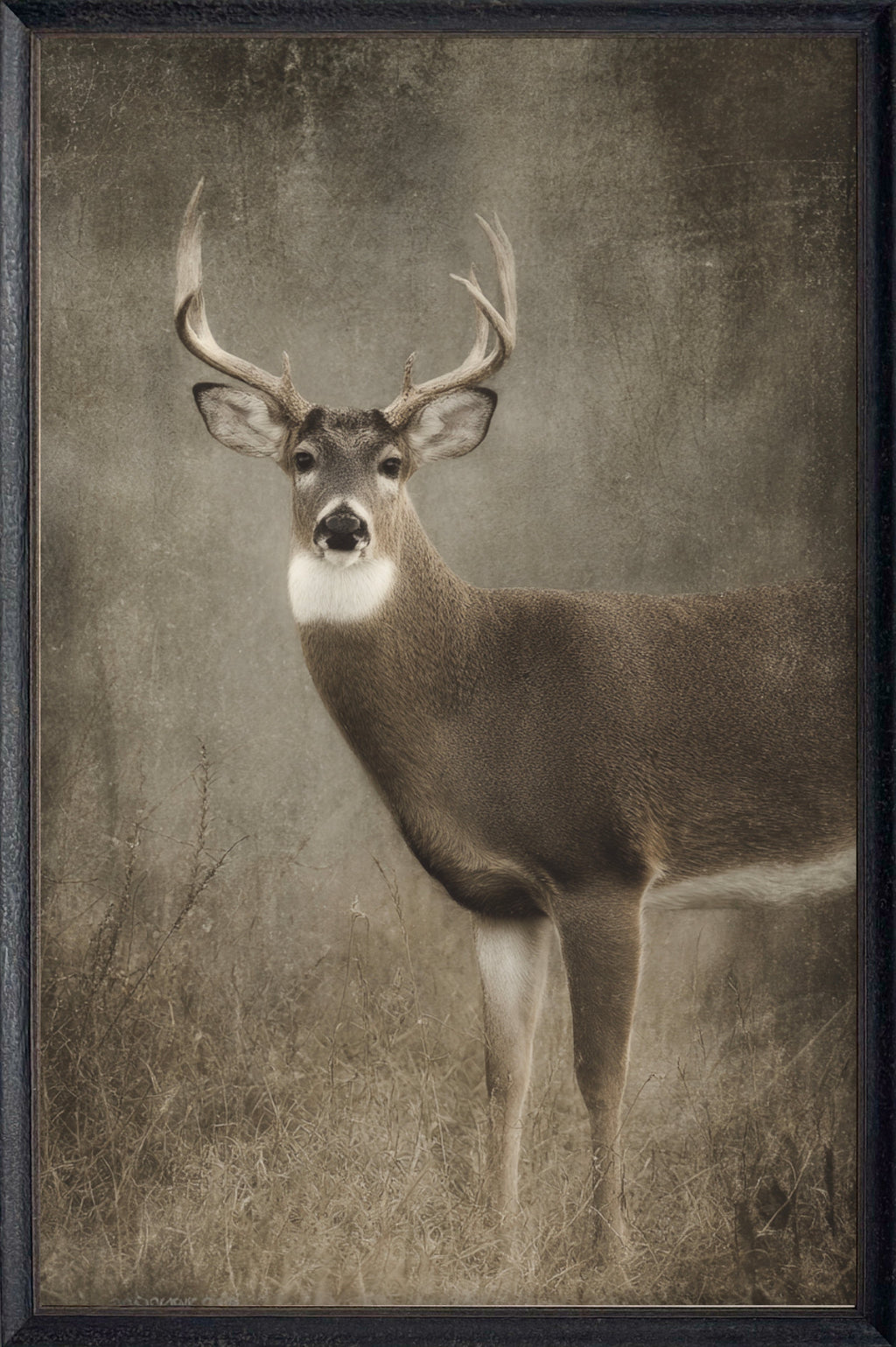 Dark Antler #7