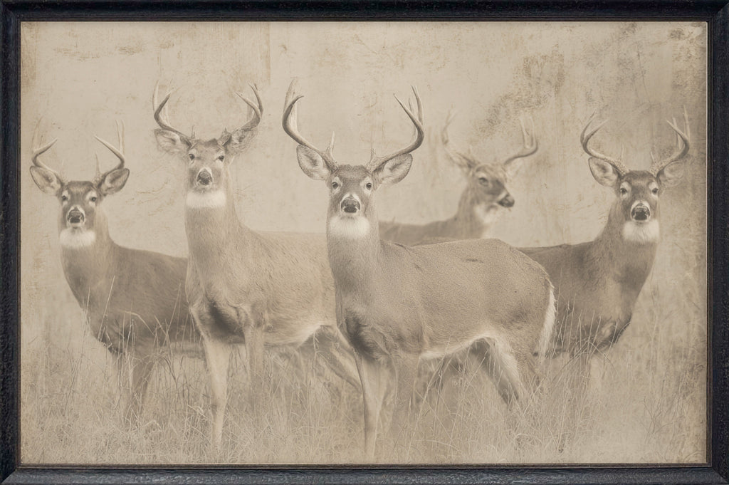 Vintage Antler #3
