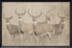 Vintage Antler #3