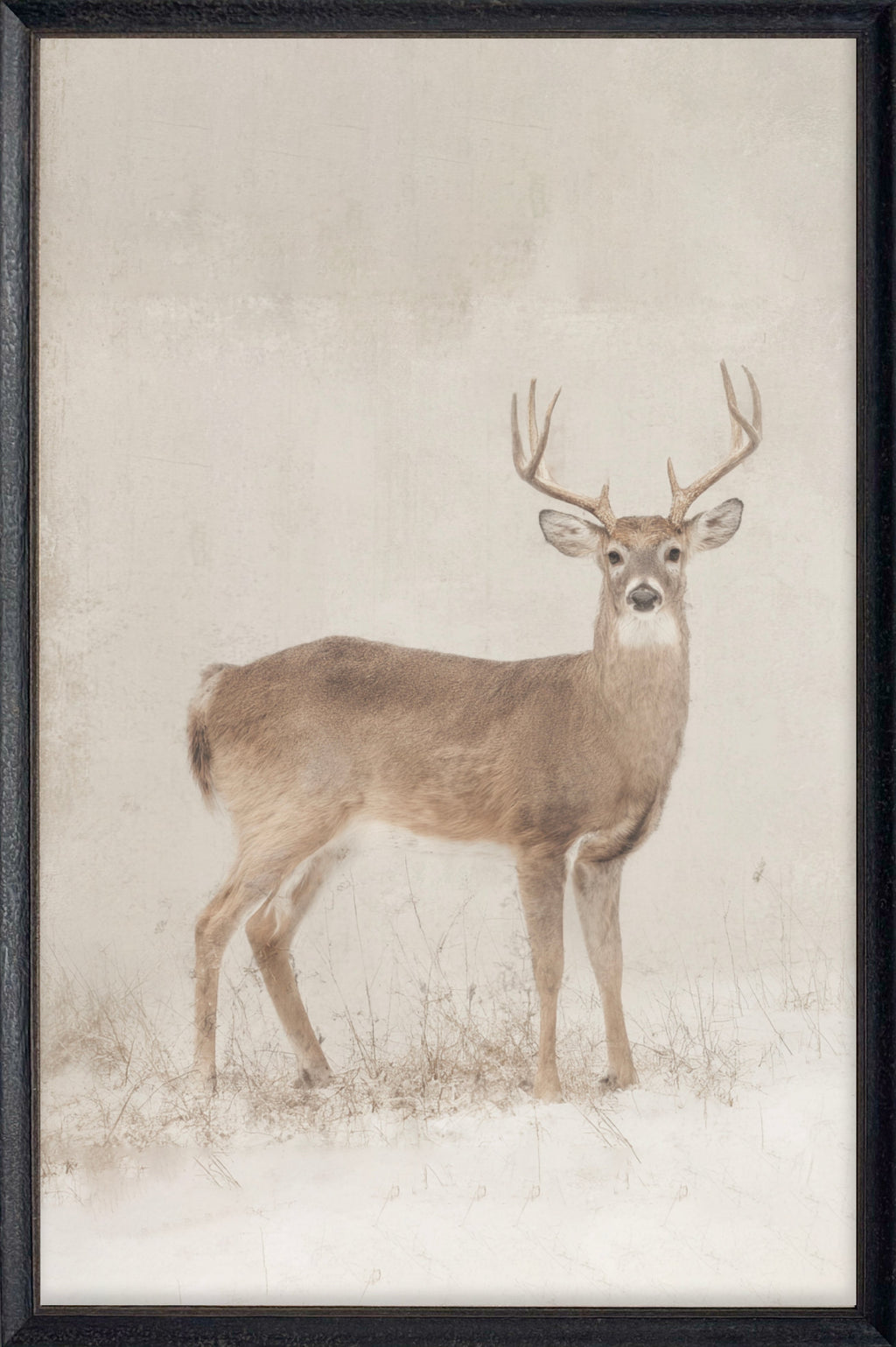 Vintage Antler #5