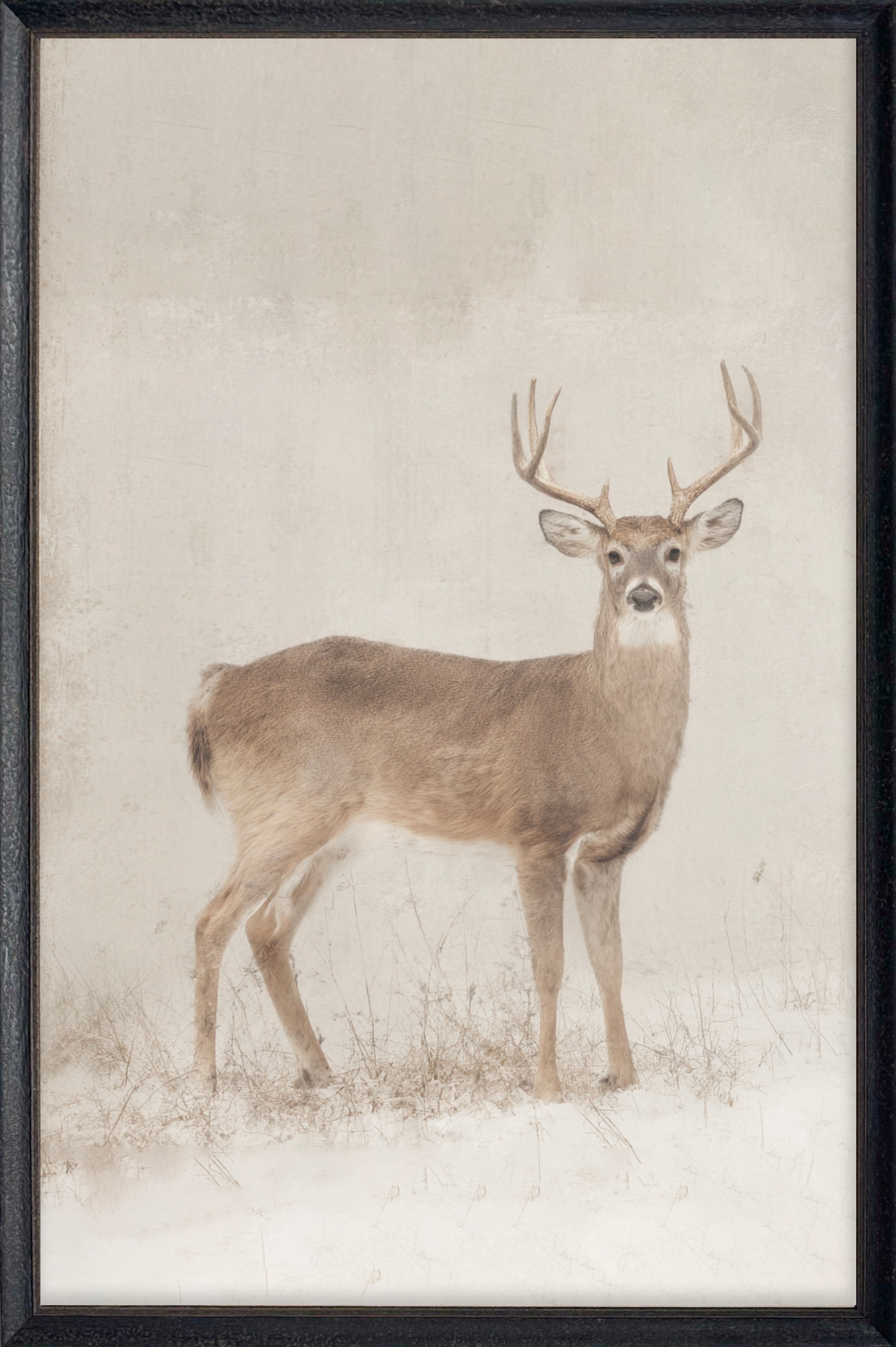 Vintage Antler #5