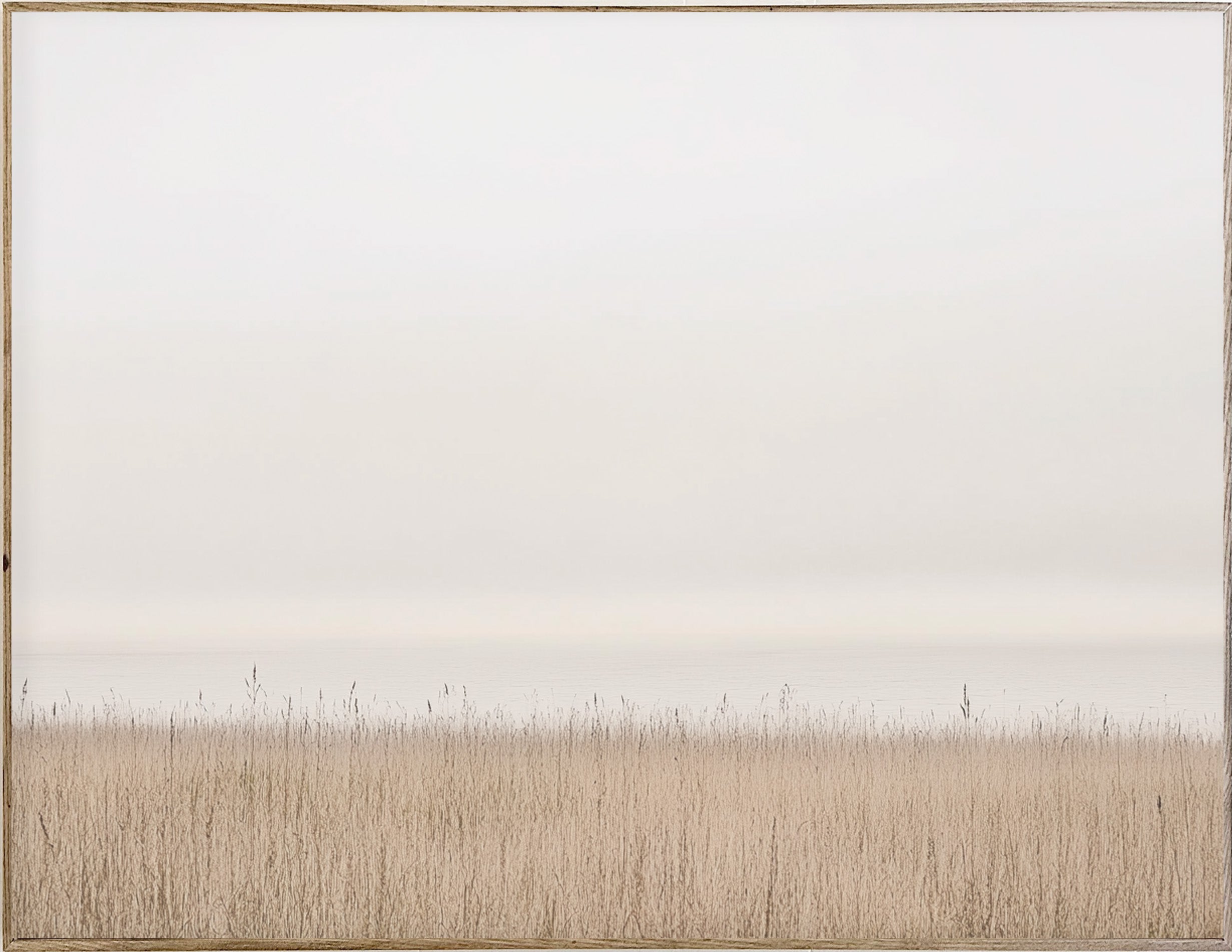 34x44 Hairline - Seagrass