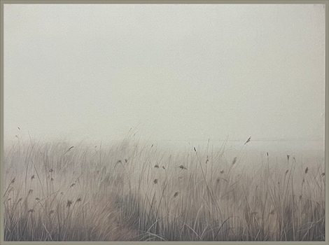 34x44 Hairline - Vintage Grass