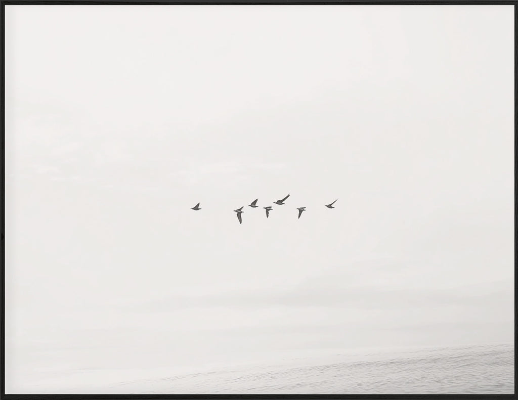 34x44 Hairline - Birds Flying