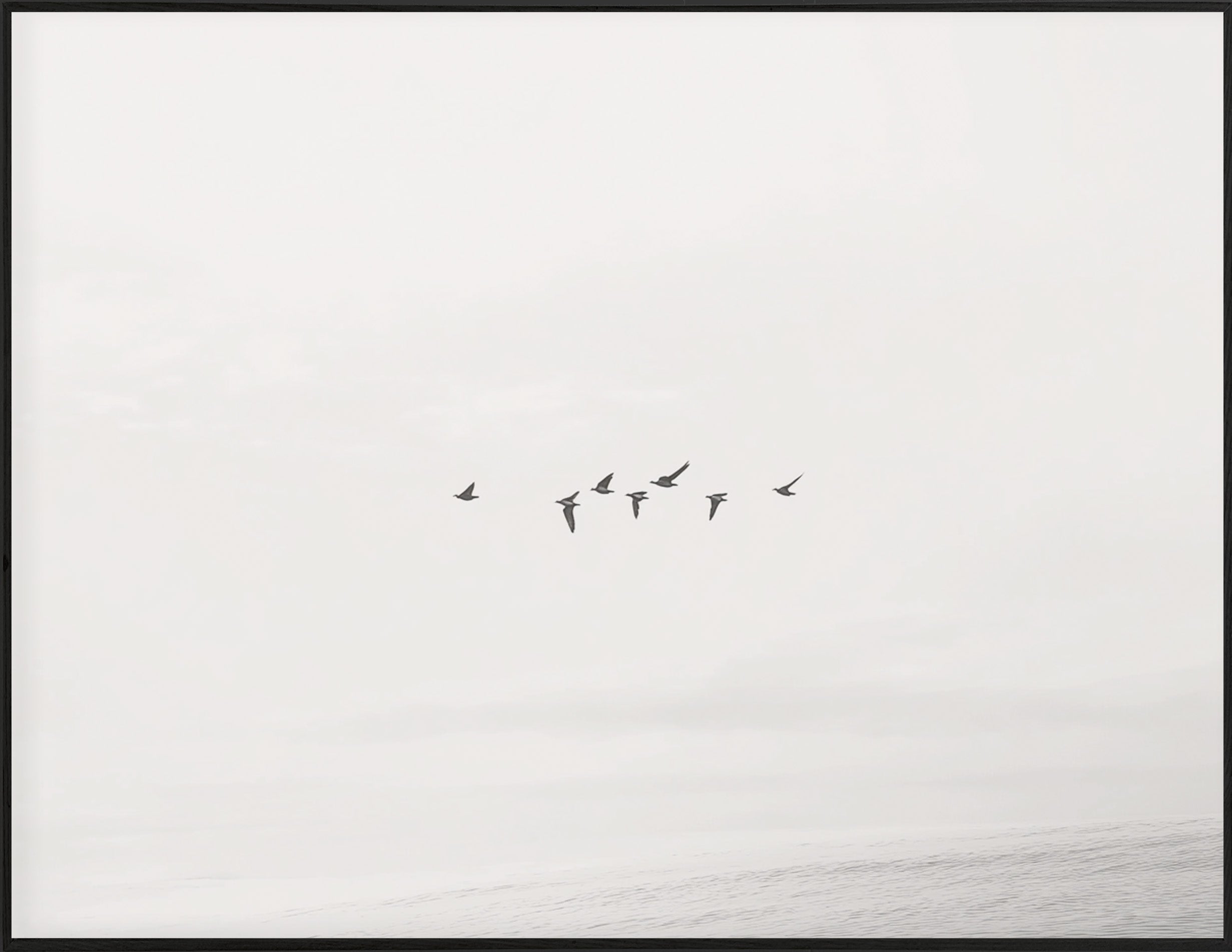 34x44 Hairline - Birds Flying