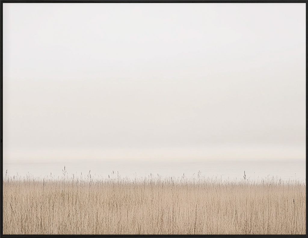 34x44 Hairline - Seagrass