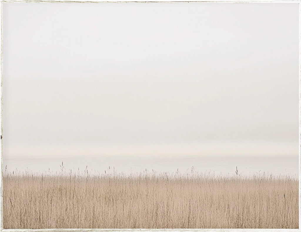 34x44 Hairline - Seagrass