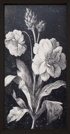 35x18 Dark Botanica