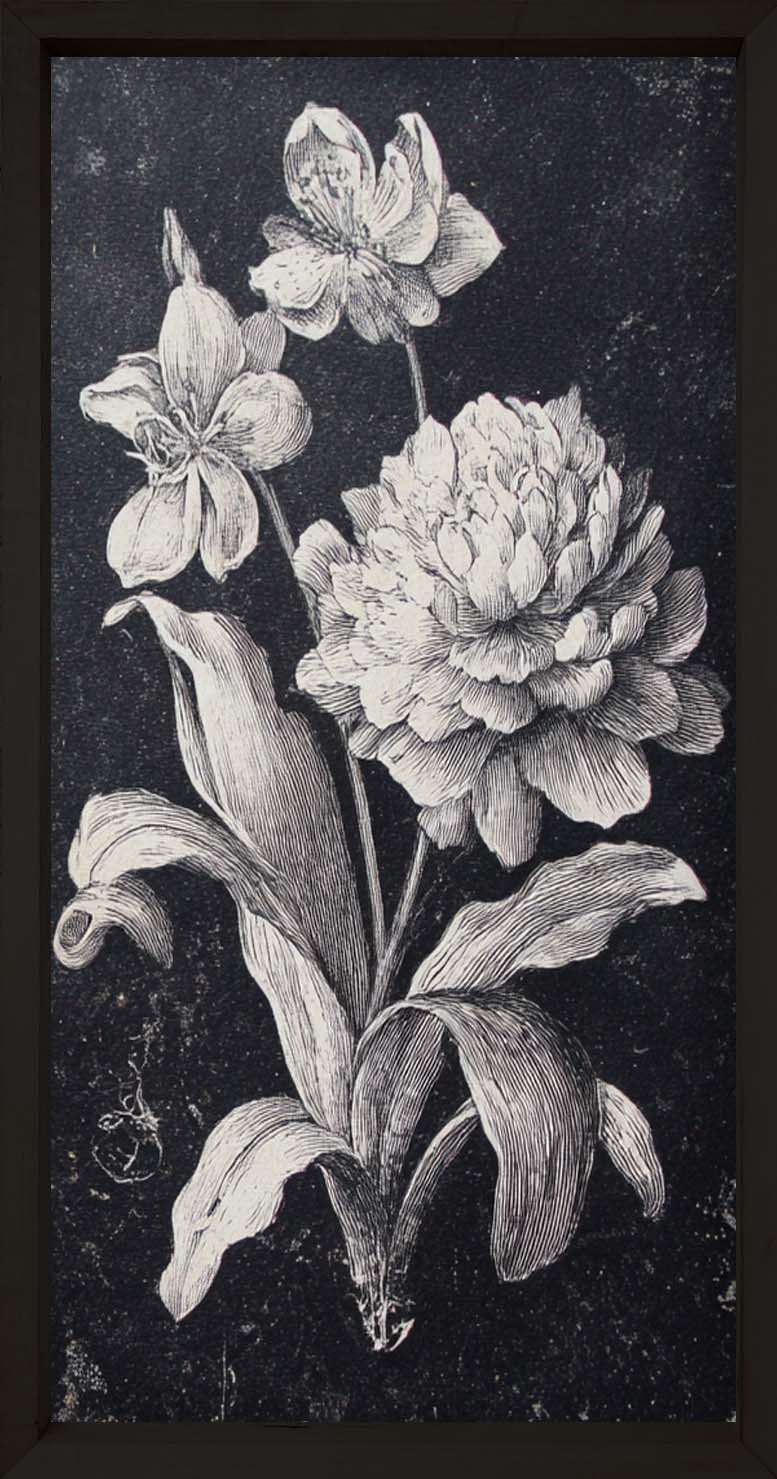 35x18 Dark Botanica