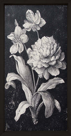 35x18 Dark Botanica