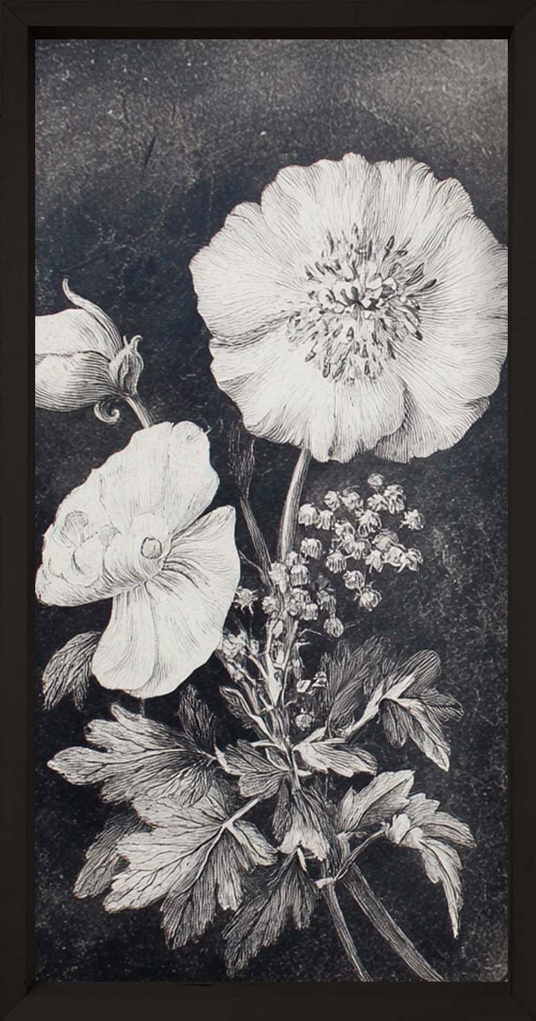 35x18 Dark Botanica