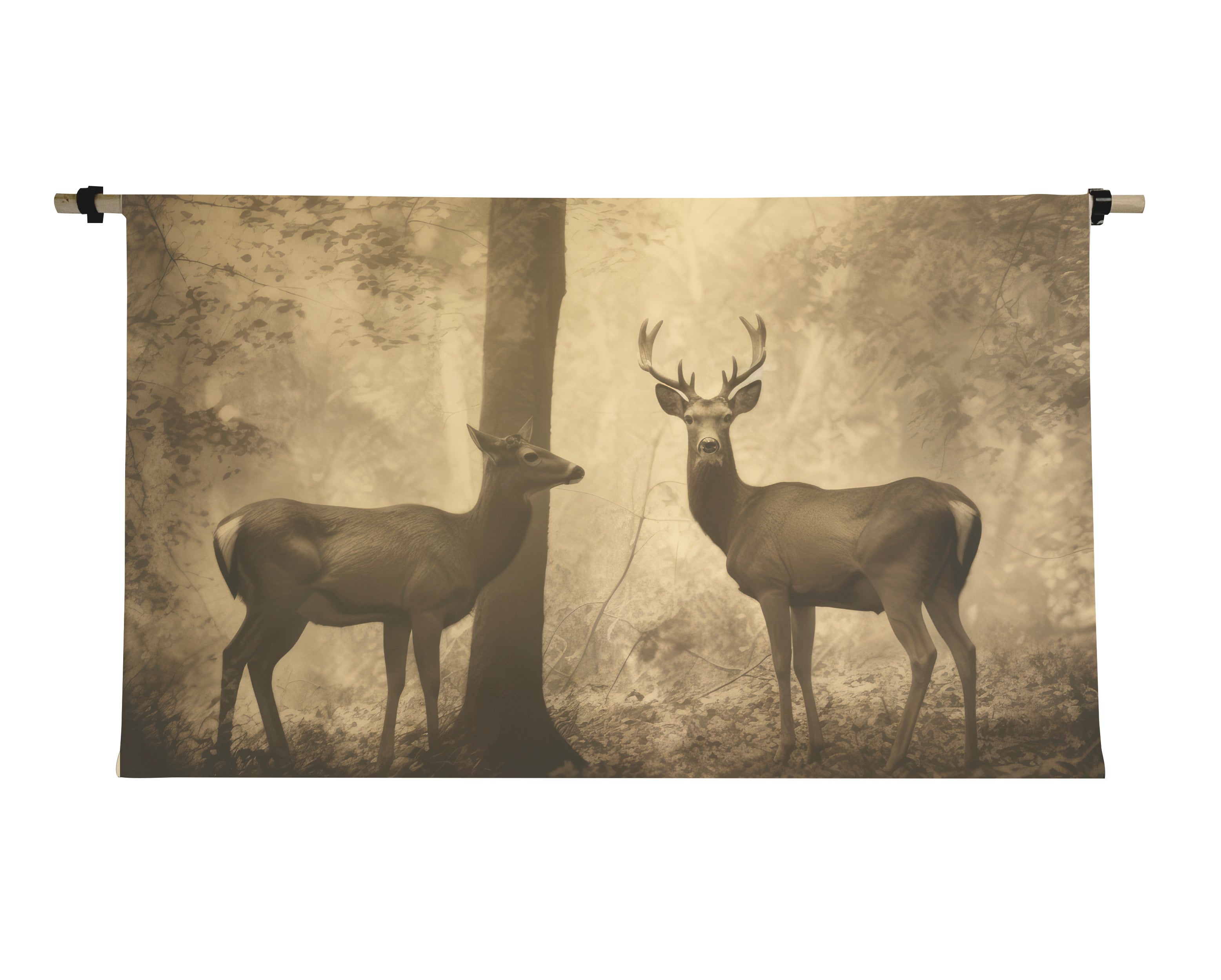 3'x6' Horizontal Canvas Scrolls