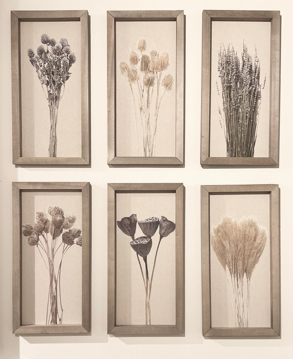 10x20 Textured Botanicals