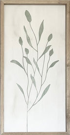 35x18 Plaster Botanicals