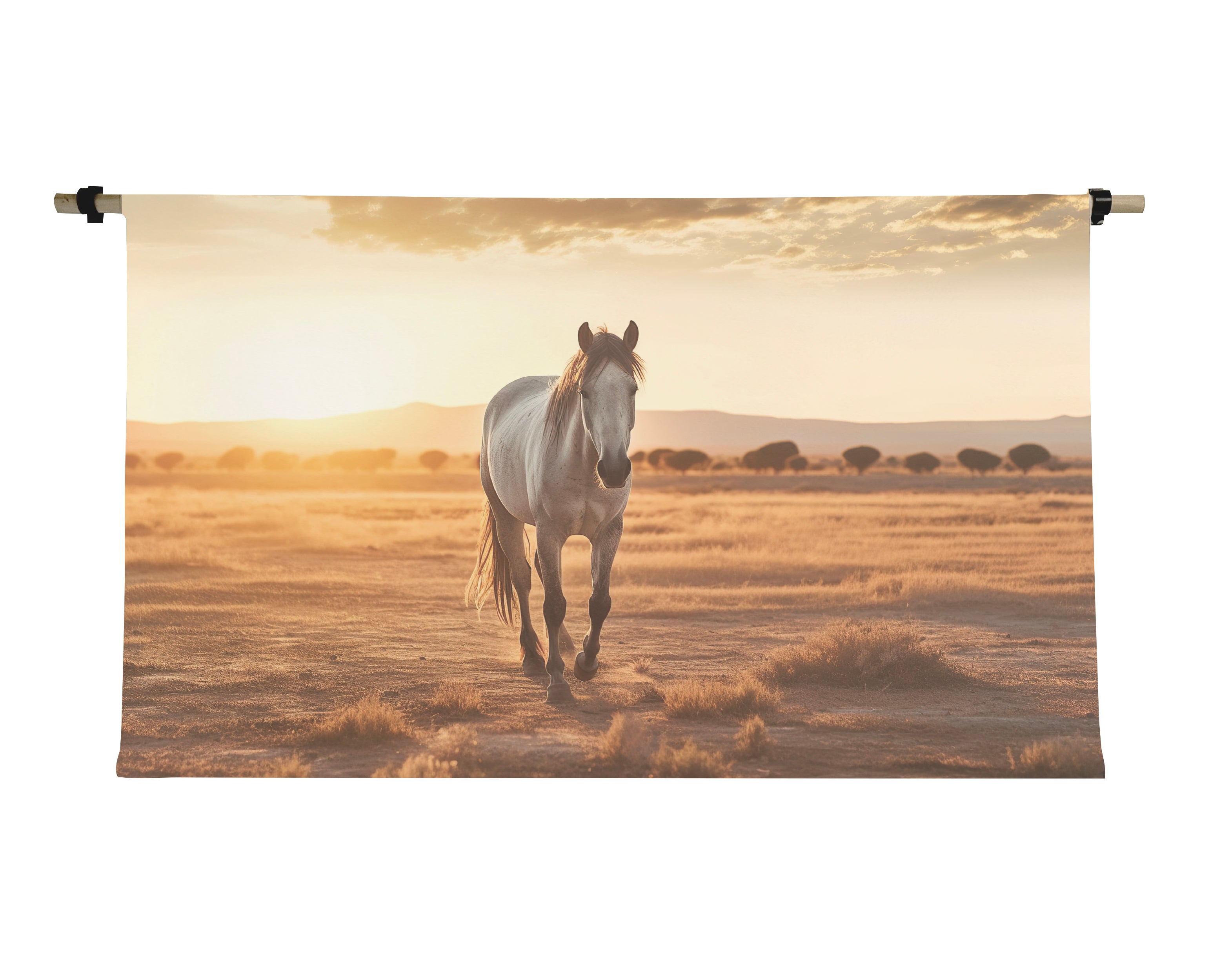 3'x6' Horizontal Canvas Scrolls