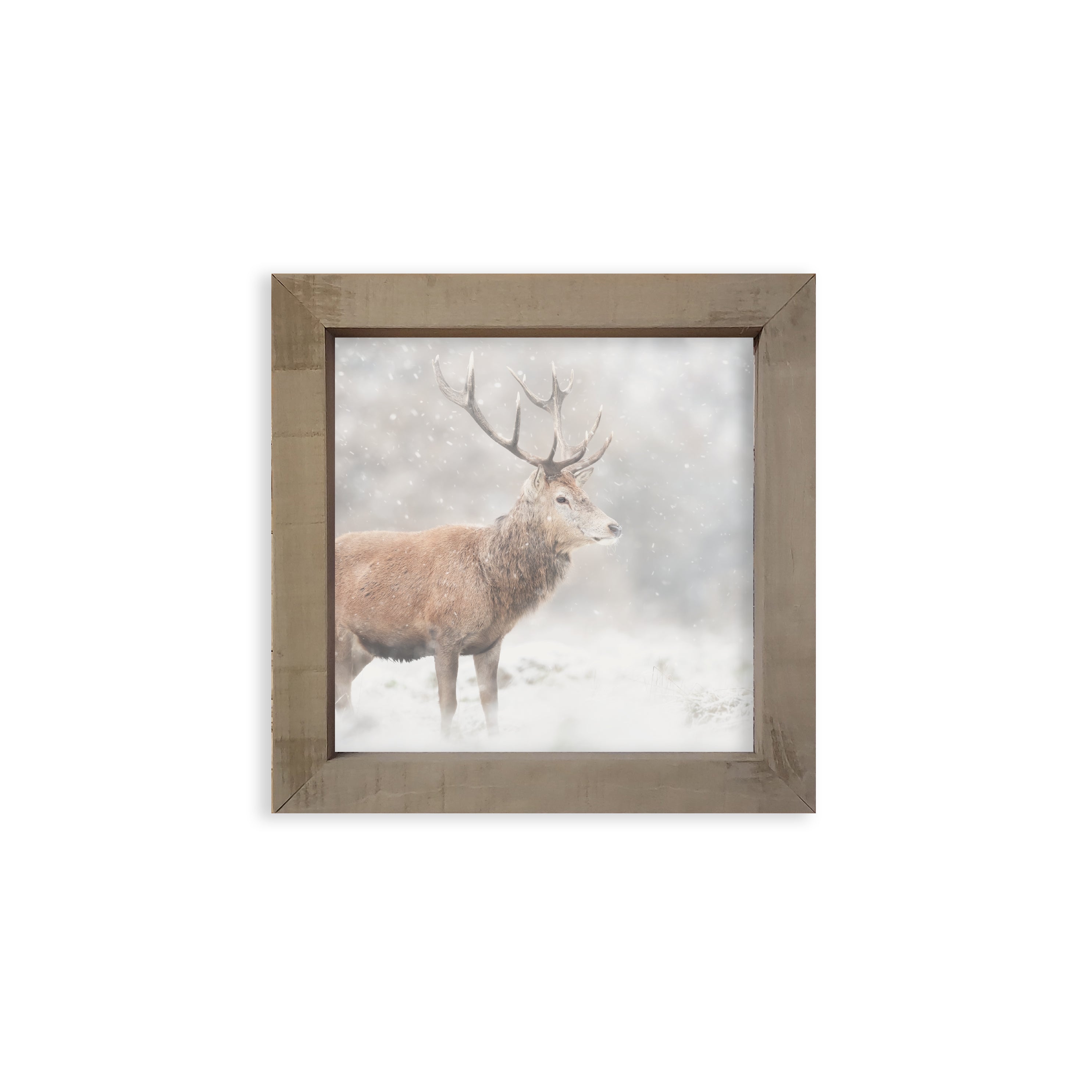 18x18 Thin Timberwood - Holiday