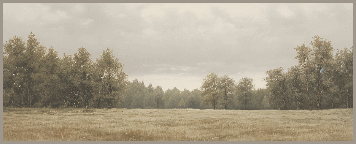 24x60 Hairline - Treescape #2